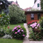 Garten "Haus Ingrid", Hortensien